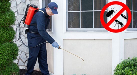 Seben Tahtakurusu İlaçlama böcek ilaçlama ve haşere kontrolü — ilaclama-tr.com